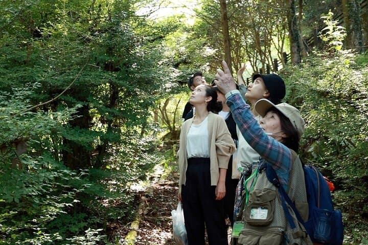 Private 3 Hours Ukiha's Forest Visit with Yoga Activity — photo 2