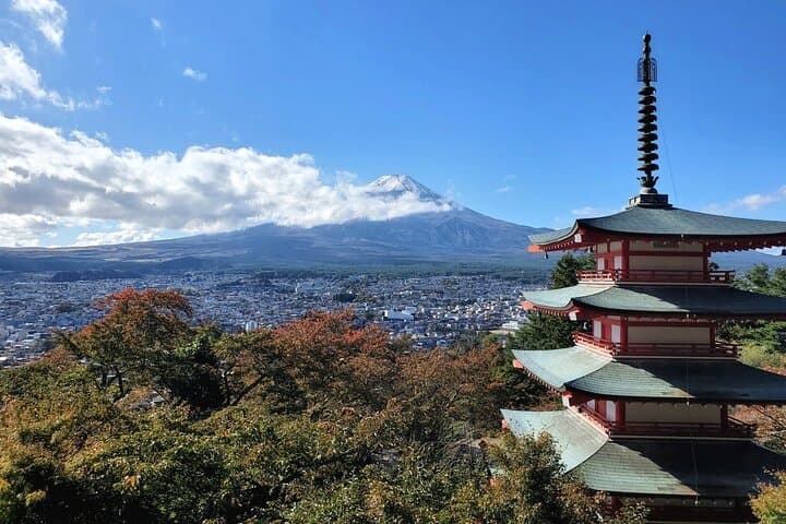 Mount Fuji and Hakone Private Tour from Tokyo (Customizable) — photo 6