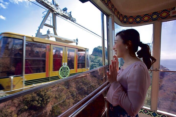 Private Sightseeing Tour from Shimizu Port / Sedan Taxi — photo 3