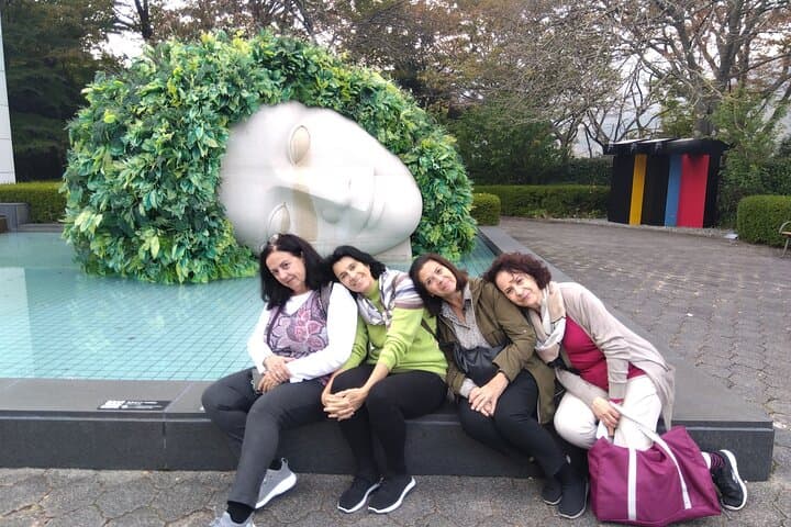 Hakone 8 hour Private Tour with Government-Licensed Guide — photo 17