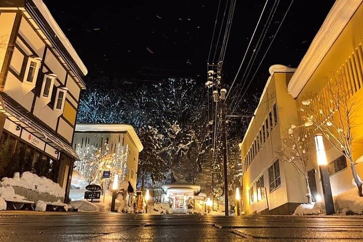 Sapporo Private Sightseeing Tour in Onsen with Special Package — photo 14