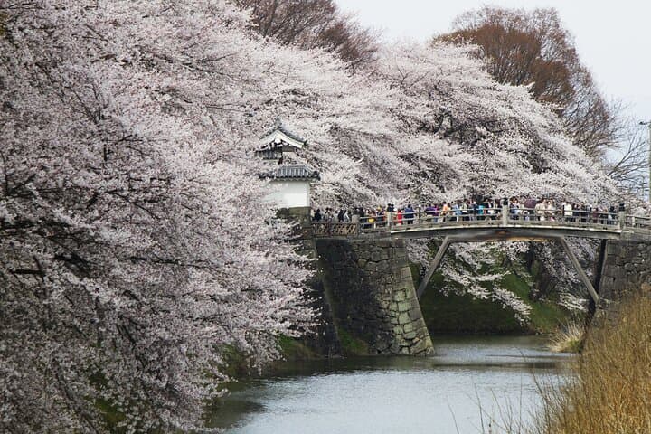 Yamagata / Yamadera 6hr Private Trip with Licensed Guide — photo 6
