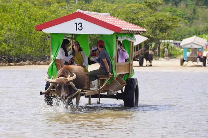 Iriomote 1 Day Mangrove SUP/Canoe, Barasu Island & Yubu Island — photo 18