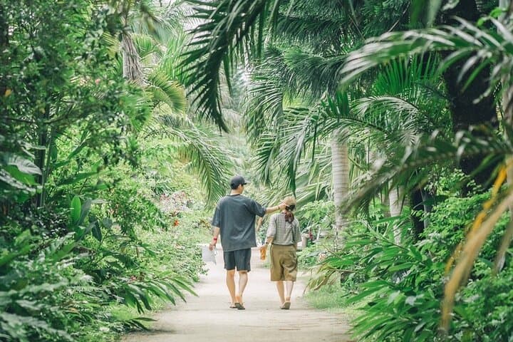 Iriomote 1 Day Mangrove SUP/Canoe, Barasu Island & Yubu Island — photo 19