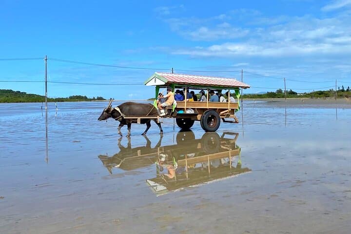 Iriomote 1 Day Mangrove SUP/Canoe, Barasu Island & Yubu Island — photo 3