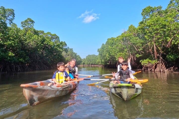 Iriomote 1 Day Mangrove SUP/Canoe, Barasu Island & Yubu Island — photo 10