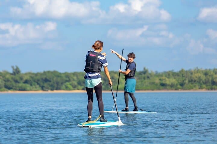 Iriomote 1 Day Mangrove SUP/Canoe, Barasu Island & Yubu Island — photo 11