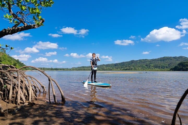 Iriomote 1 Day Mangrove SUP/Canoe, Barasu Island & Yubu Island — photo 12