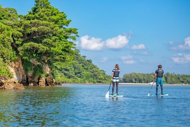 Iriomote 1 Day Mangrove SUP/Canoe, Barasu Island & Yubu Island — photo 13