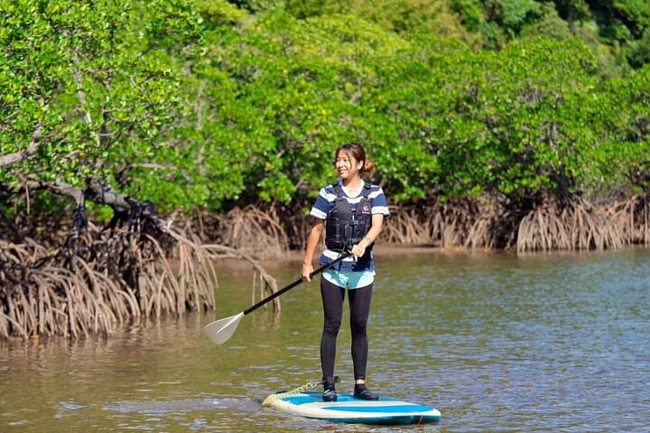 Iriomote 1 Day Mangrove SUP/Canoe, Barasu Island & Yubu Island — photo 14