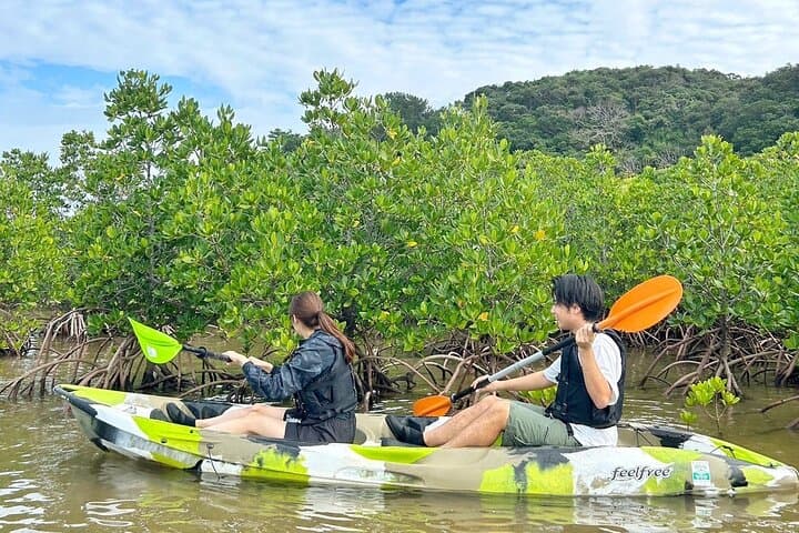 Iriomote 1 Day Mangrove SUP/Canoe, Barasu Island & Yubu Island — photo 15