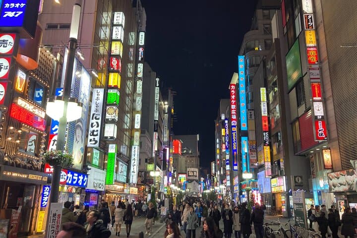 Tokyo Shinjuku Japanese Local Bar Hopping and Food Tour — photo 8