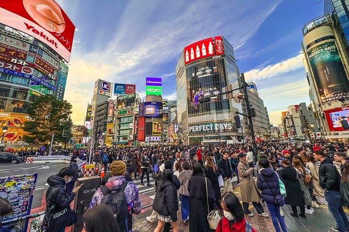 Tokyo in 6 Hours: Private Subway Tour with Licensed English Guide — photo 2