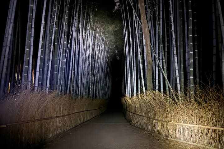 Kyoto Ghost Tour: Dark Tales, Urban Legends, Bamboo Forest Night — photo 4