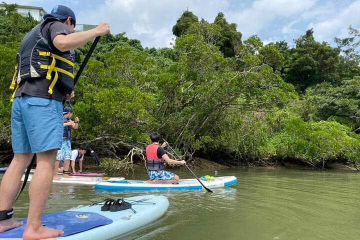 Mangrove SUP in Okinawa — photo 3