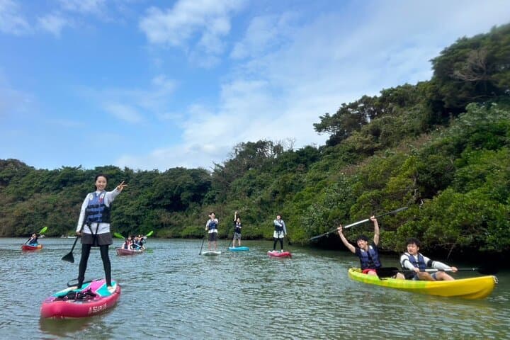 Mangrove SUP in Okinawa — photo 4