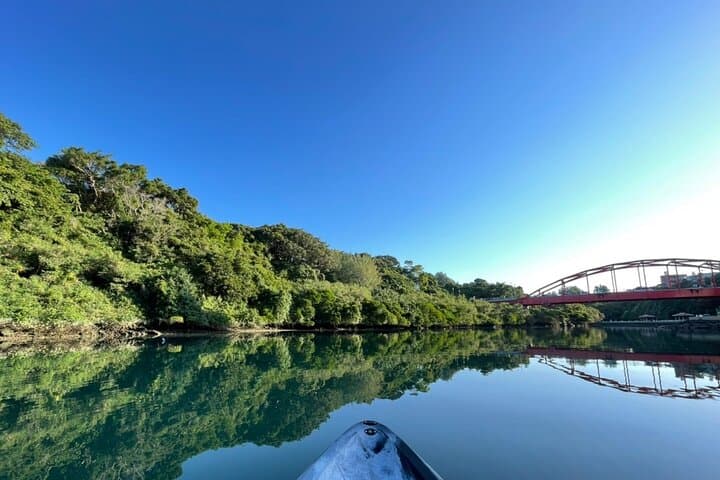 Mangrove SUP in Okinawa — photo 5