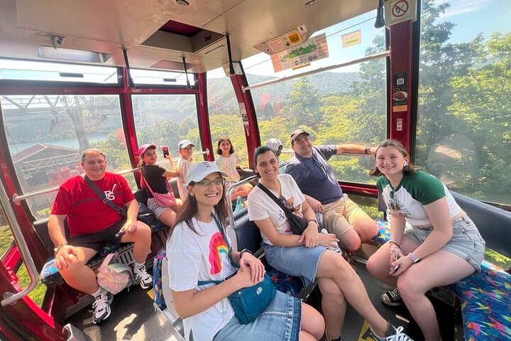Day Trip to Hakone from Tokyo with National Licensed Guide — photo 3