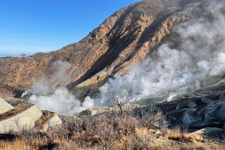 Day Trip to Hakone from Tokyo with National Licensed Guide — photo 5