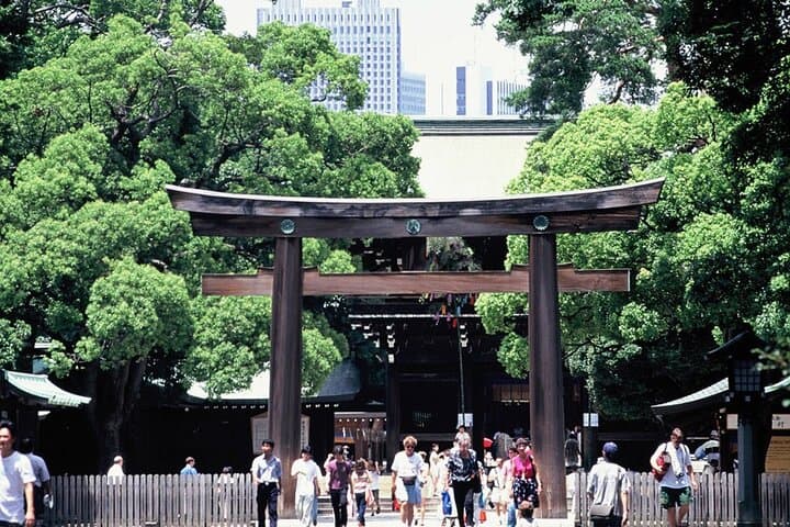 Private Full-day Tokyo Walking Subway Tour by Japan Gray Line — photo 2