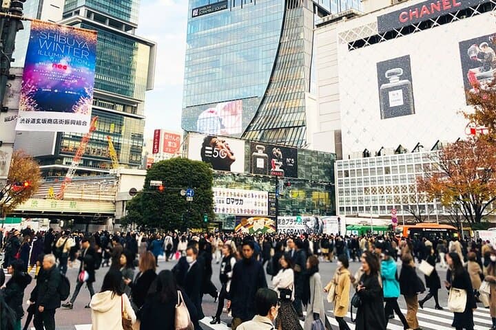 Private Full-day Tokyo Walking Subway Tour by Japan Gray Line — photo 5