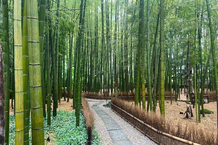 Day Trip Kamakura from Tokyo with National Licensed Guide — photo 8