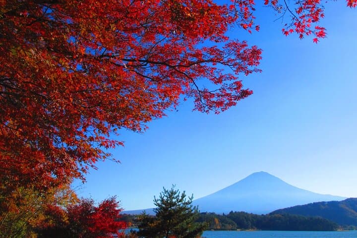 Mt Fuji Views, Fruit Picking and Ropeway Experience Day Tour — photo 2