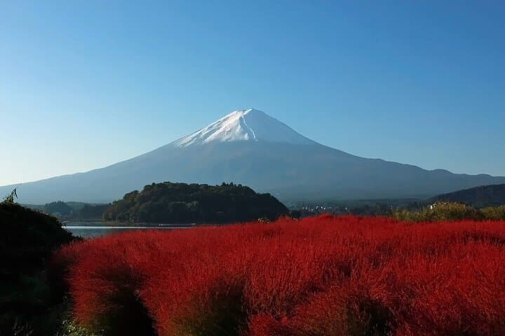 Mt Fuji Views, Fruit Picking and Ropeway Experience Day Tour — photo 6