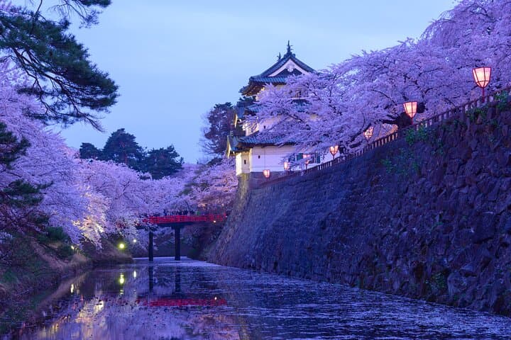 Hirosaki 4hr Private Tour with Government-Licensed Guide — photo 19
