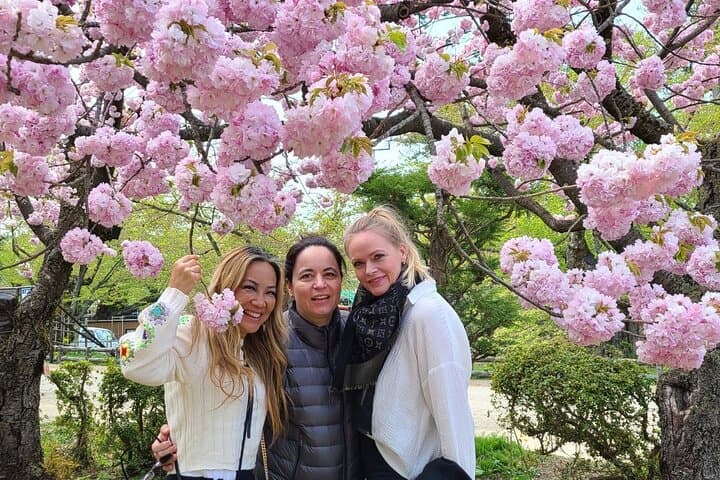 Hirosaki 6hr Private Tour with Government-Licensed Guide — photo 2