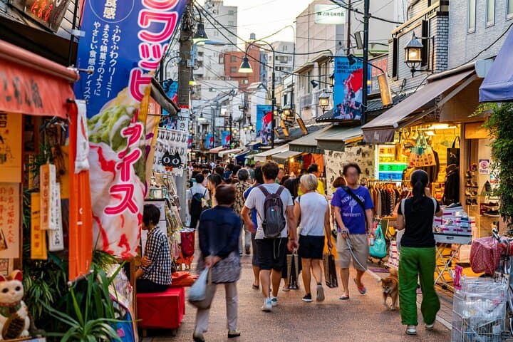 Tokyo: Yanaka Historic Streets Guided Tour & Asakura Museum Visit — photo 5