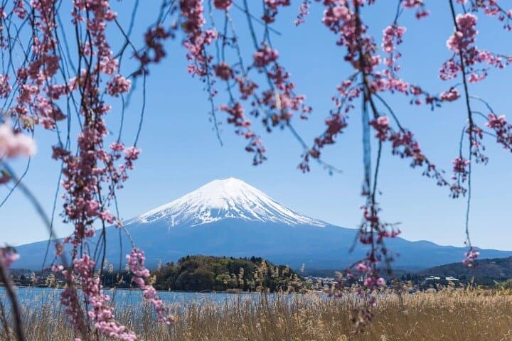 From Tokyo : Mount Fuji, Oishi Park & Kawagoe & Fuji-Q Highland — photo 11