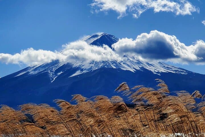 Hakone Full-Day Private Tour from Tokyo (Customizable) — photo 13