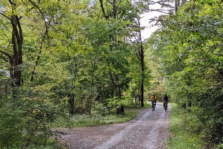 Private Yatsugatake Highland Guided Electric Bike Tour — photo 3