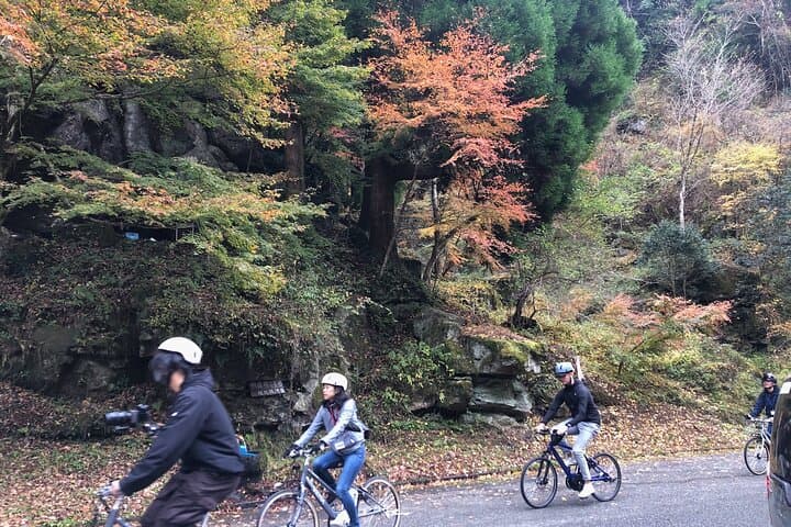 Guided e-Bike Tours in Bungoono City — photo 2