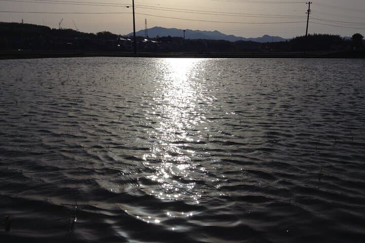 Private Rice Agriculture Experience in Mie — photo 14
