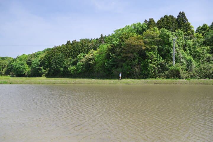 Private Rice Agriculture Experience in Mie — photo 12