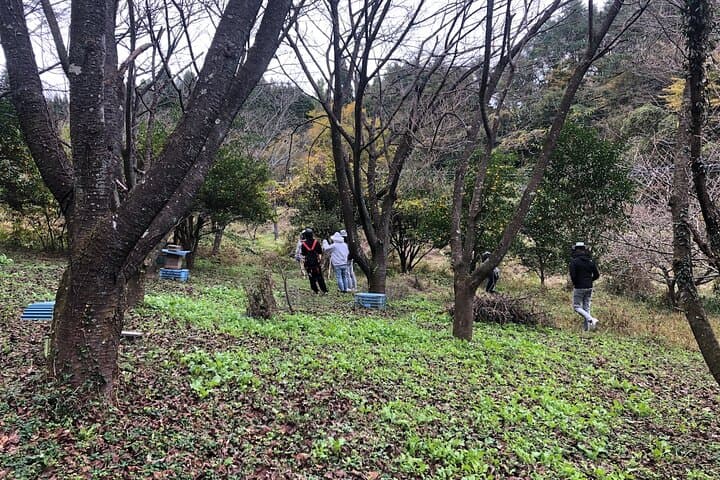 Visiting Beekeeper and Beeswax Craft Making in Bungoono City — photo 2