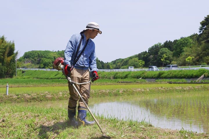 Private Rice Agriculture Experience in Mie — photo 11