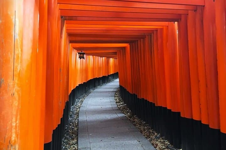 Private eBike Tour Exploring Fushimi with Torii Red Gate Ride — photo 5