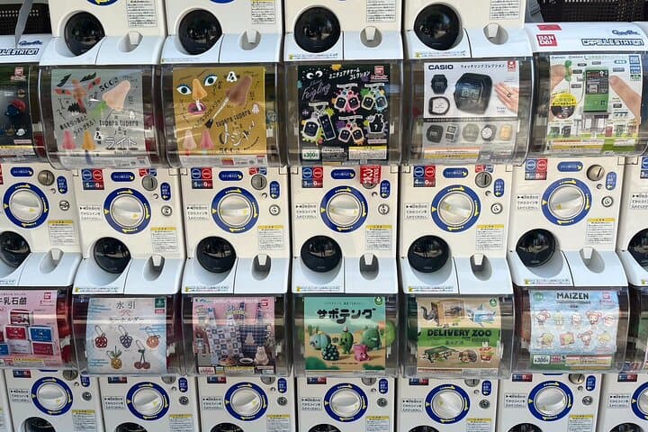 Tokyo: Exploring Anime & Electronics Tour in Akihabara — photo 4