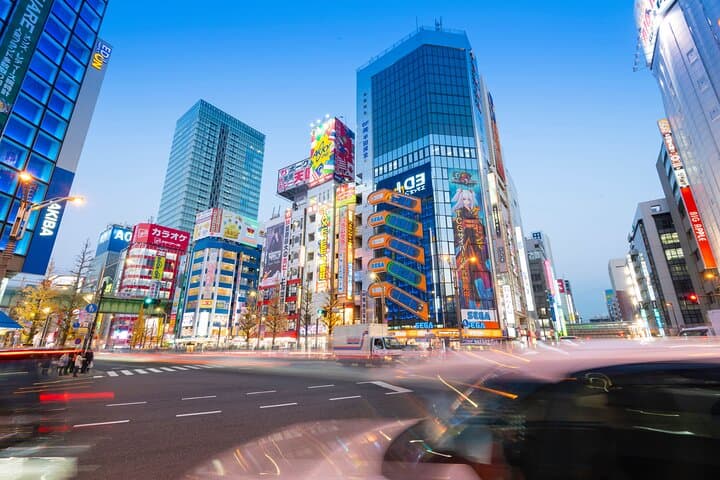 Tokyo Full Day Trip with Private Guide and Luxury Car — photo 11