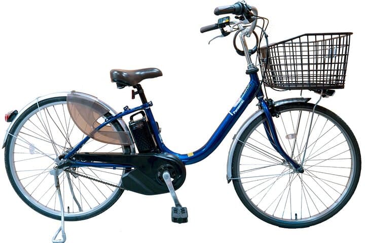 Kyoto in a Day by eBike: The Best Bits Tour (East Course) — photo 8