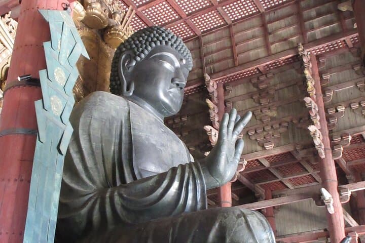 Nara ENGLISH GUIDE, Giant Buddha, Deer free in the park — photo 1