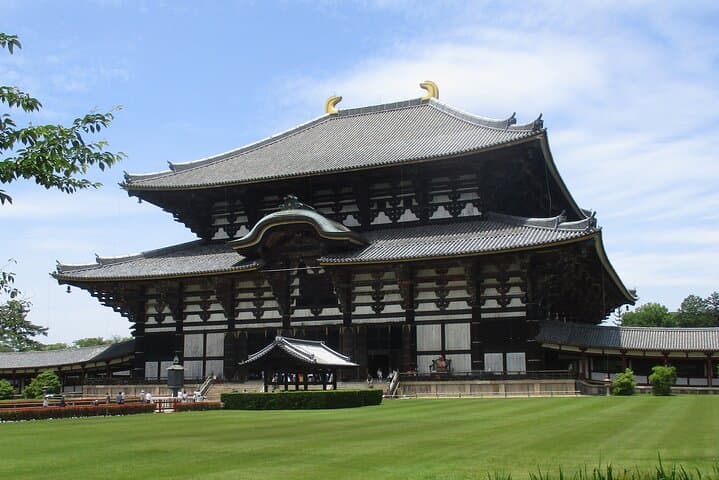Nara ENGLISH GUIDE, Giant Buddha, Deer free in the park — photo 3