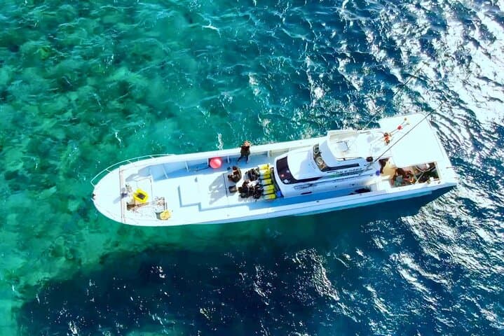 From Onna Village (Maeda Fishing Port)!Fishing and trolling | Fully chartered boat charter plan (3 hour course) — photo 7