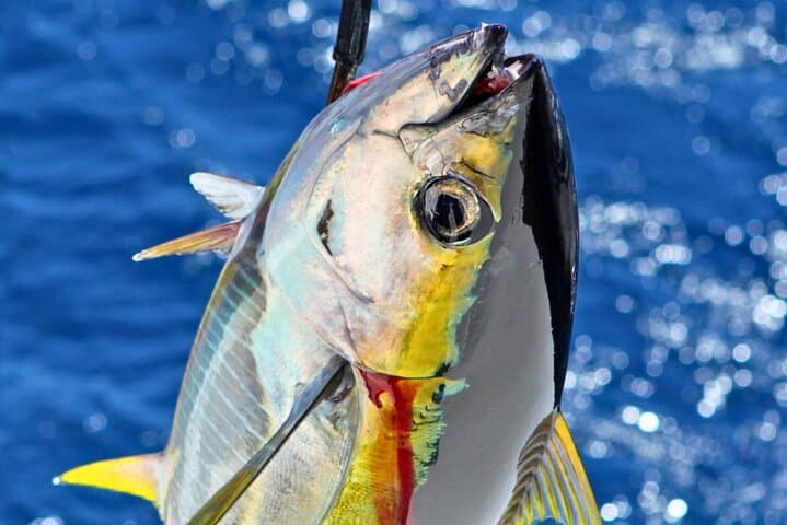 From Onna Village (Maeda Fishing Port)!Fishing and trolling | Fully chartered boat charter plan (3 hour course) — photo 4