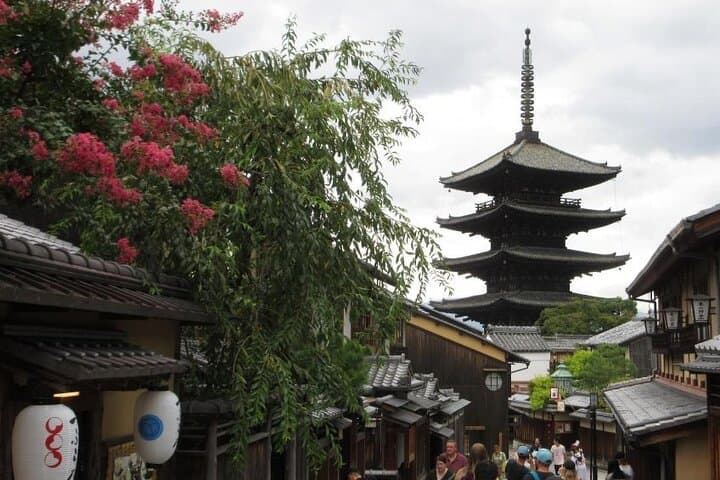 Kyoto ITALIAN GUIDE, Kiyomizu Temple Gion Pagoda Maiko Geisha — photo 1