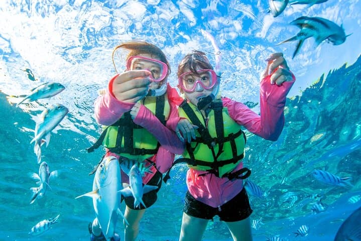 From Onna Village (Maeda Fishing Port)!Minna Island Snorkeling and Trolling Experience | Fully Chartered Boat Plan (6-hour course)