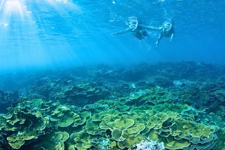 From Onna Village (Maeda Fishing Port)!Minna Island Snorkeling and Trolling Experience | Fully Chartered Boat Plan (6-hour course) — photo 2